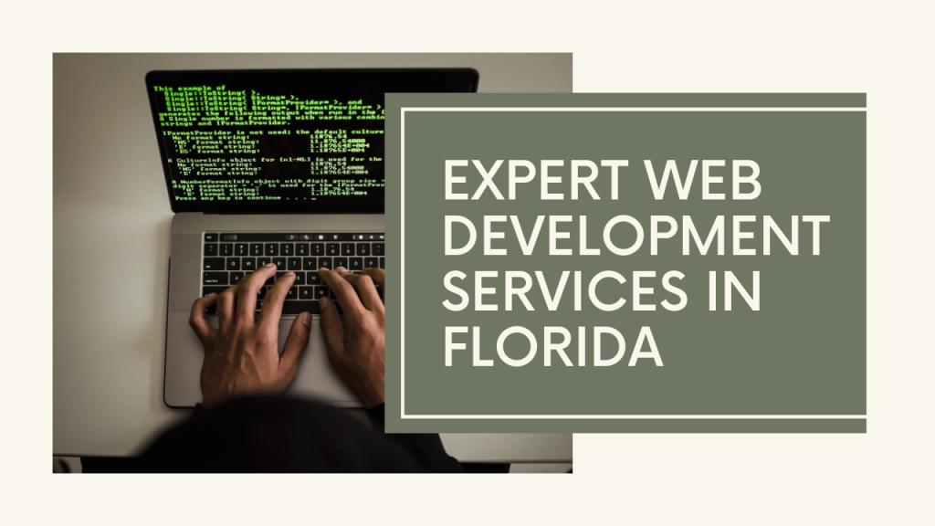 Expert Web Development Services in Florida
