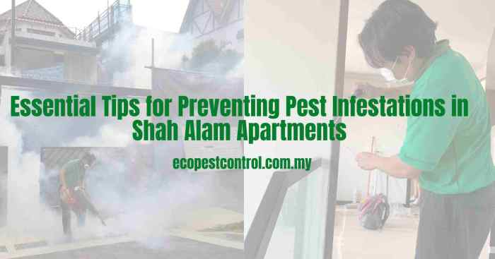 Pest control tips for apartments