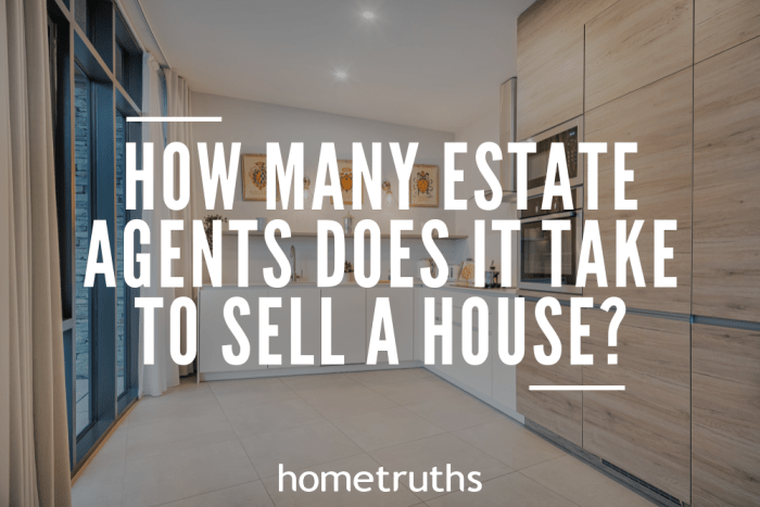 Agent estate real wisely choose