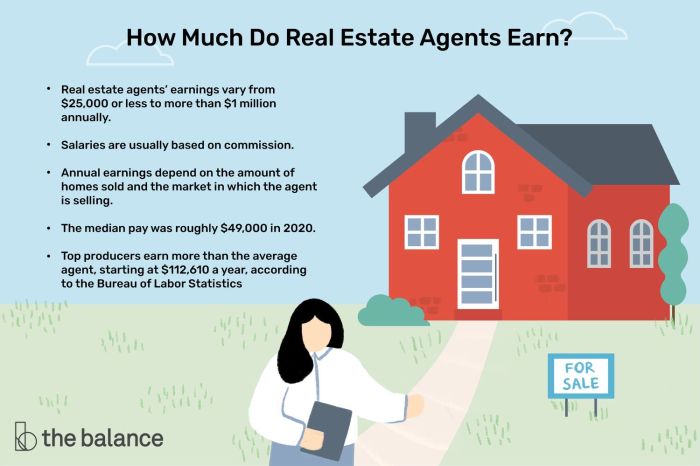 How much does a real estate agent make in chicago